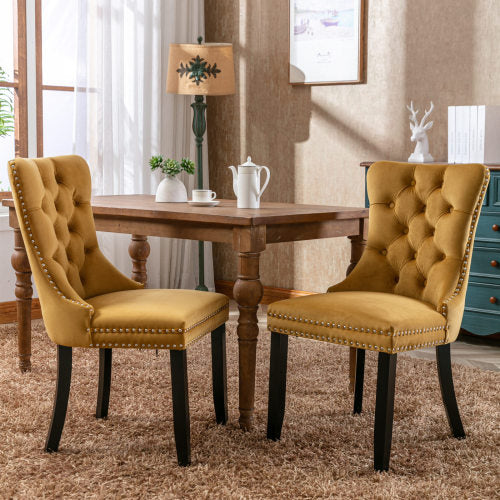 Modern Velvet Upholstered Dining Chairs Set of 2 with Nailhead Trim & Solid Wood Legs