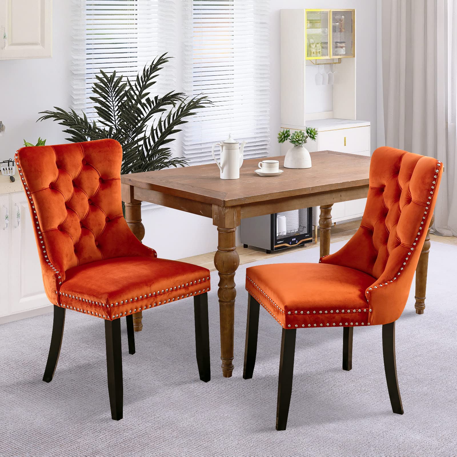 Modern Velvet Upholstered Dining Chairs Set of 2 with Nailhead Trim & Solid Wood Legs
