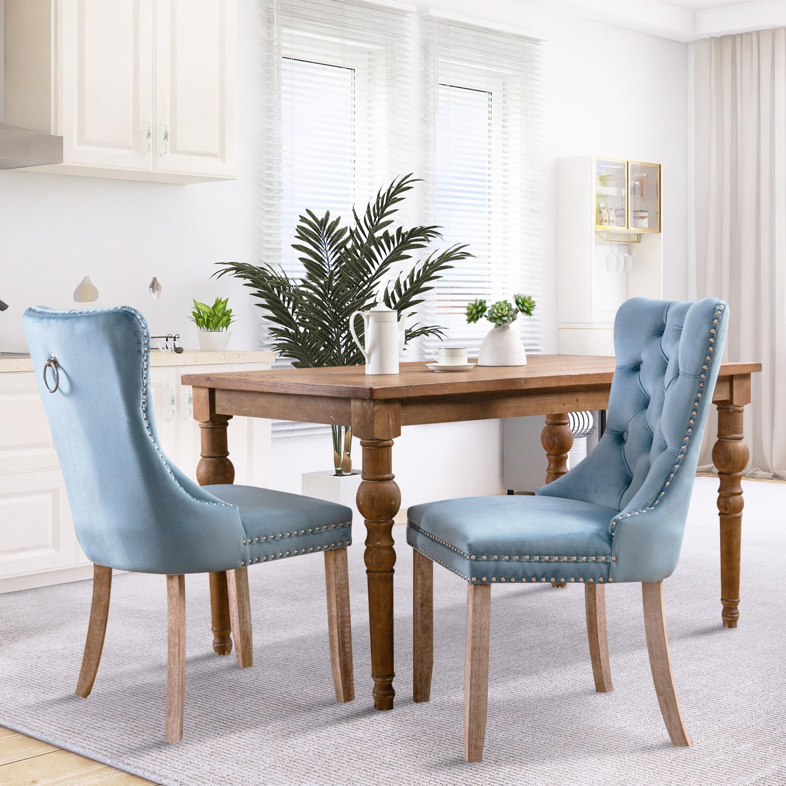Modern Velvet Upholstered Dining Chairs Set of 2 with Nailhead Trim & Solid Wood Legs