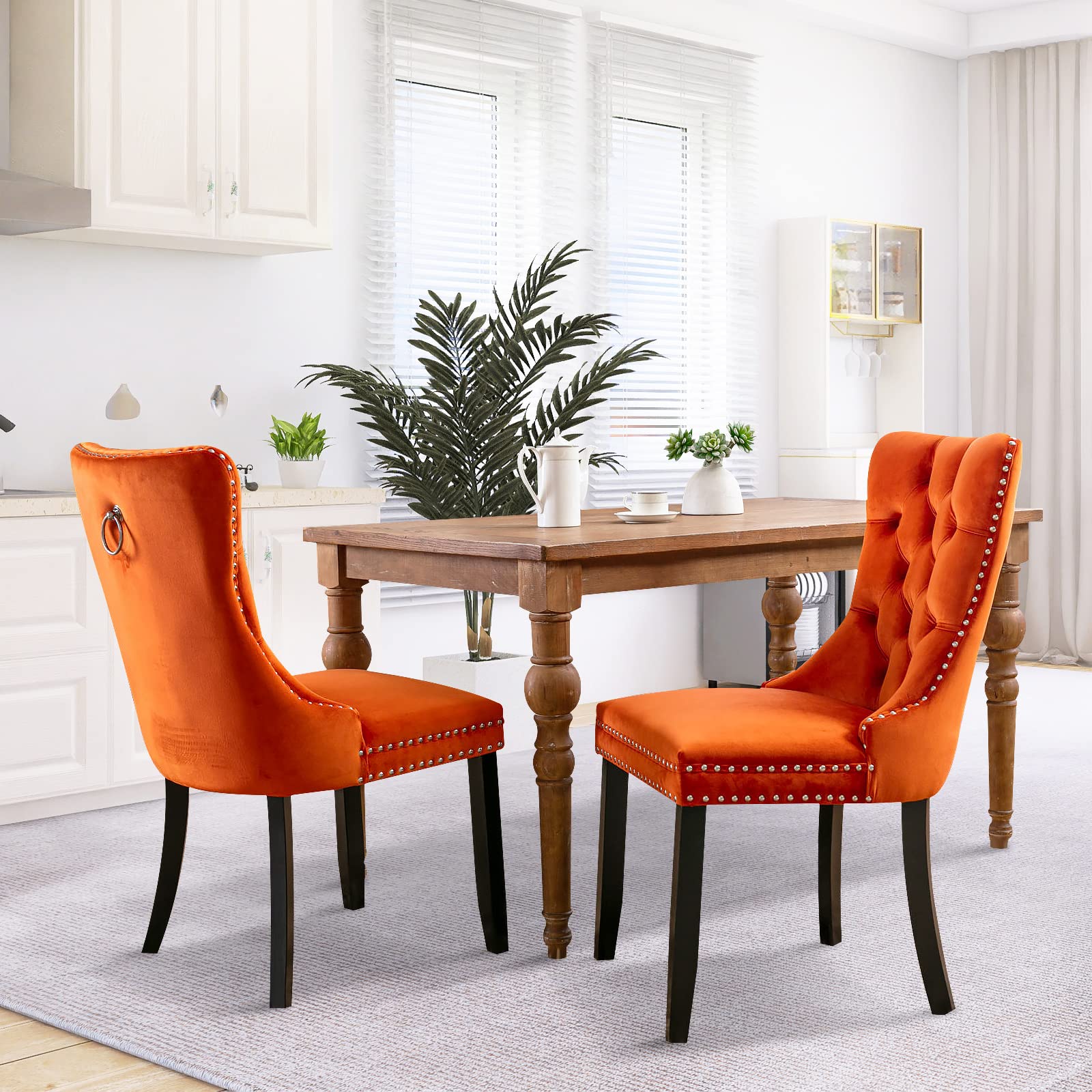 Modern Velvet Upholstered Dining Chairs Set of 2 with Nailhead Trim & Solid Wood Legs
