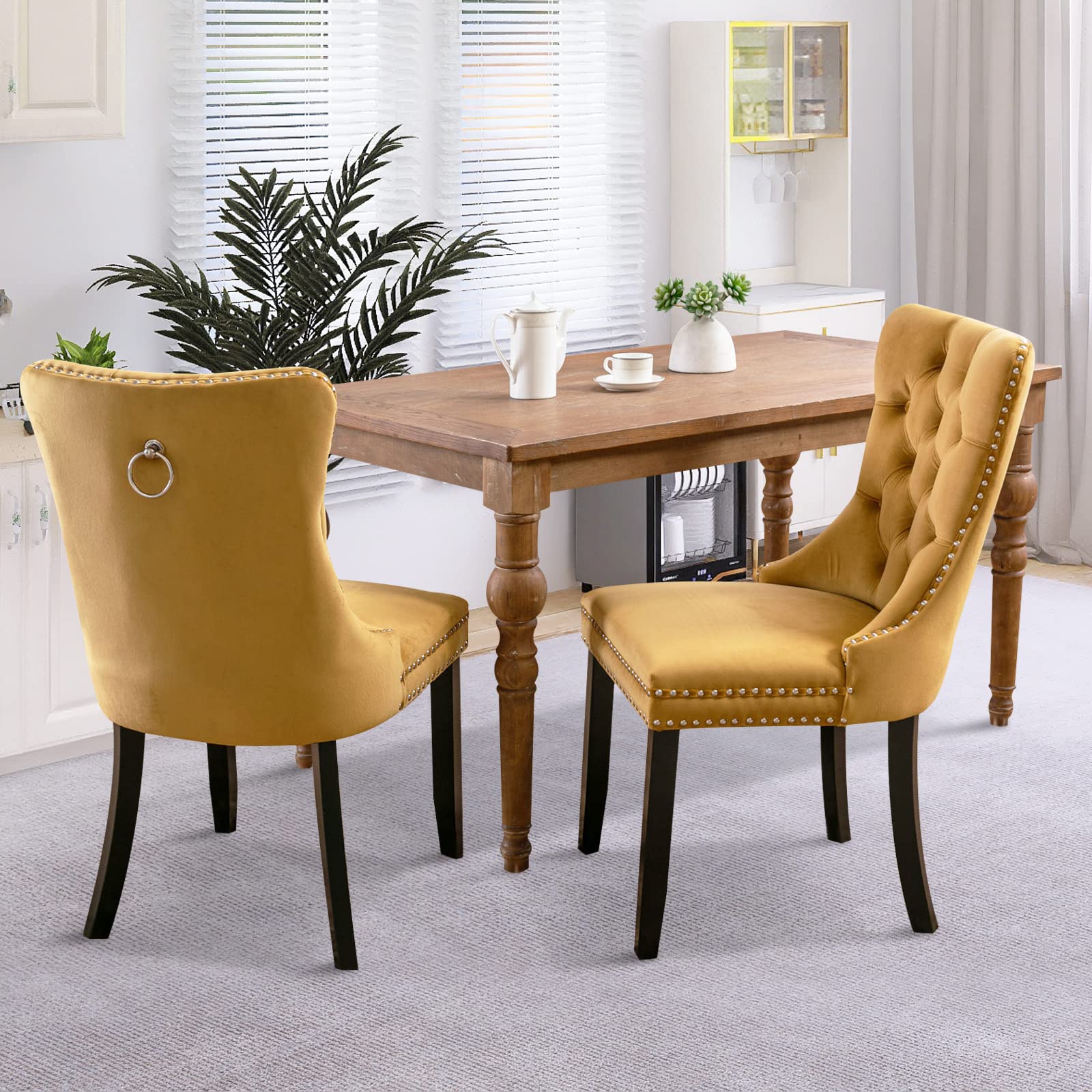 Modern Velvet Upholstered Dining Chairs Set of 2 with Nailhead Trim & Solid Wood Legs
