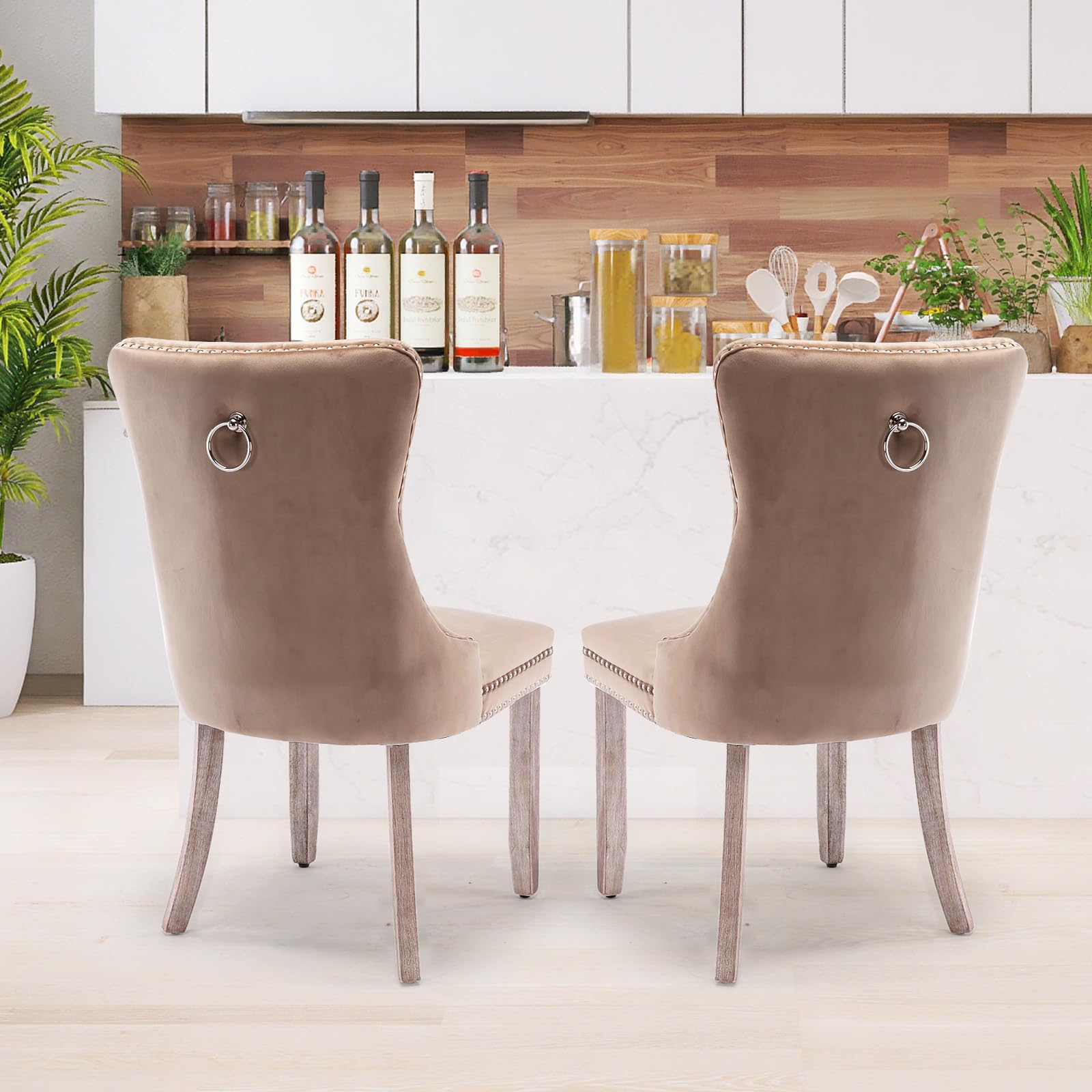 Modern Velvet Upholstered Dining Chairs Set of 2 with Nailhead Trim & Solid Wood Legs