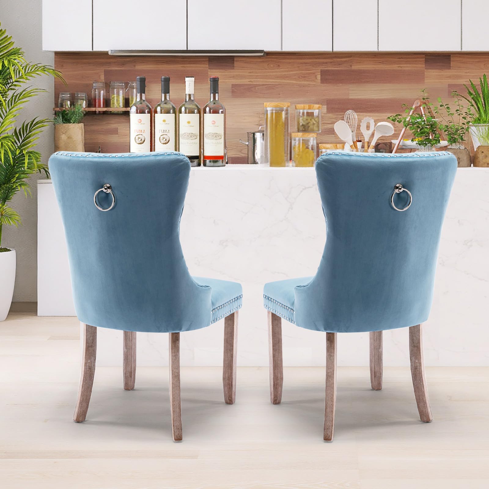 Modern Velvet Upholstered Dining Chairs Set of 2 with Nailhead Trim & Solid Wood Legs