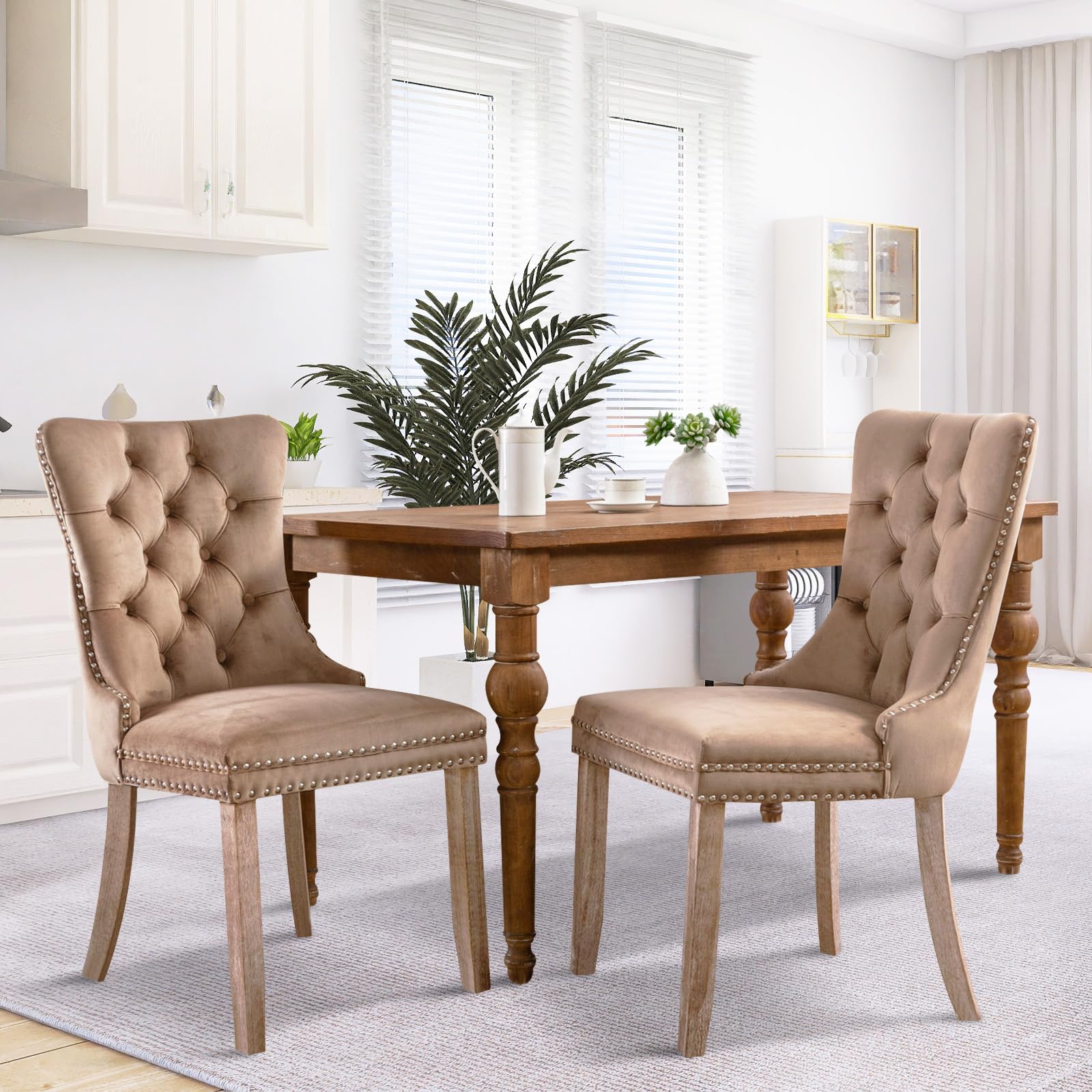 Modern Velvet Upholstered Dining Chairs Set of 2 with Nailhead Trim & Solid Wood Legs