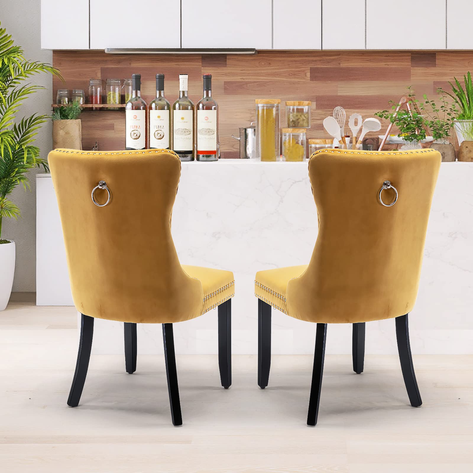 Modern Velvet Upholstered Dining Chairs Set of 2 with Nailhead Trim & Solid Wood Legs