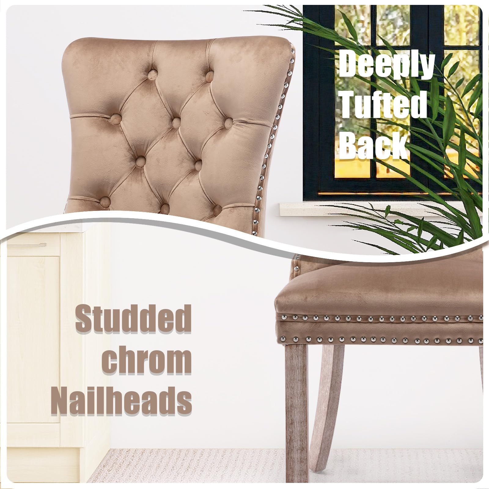 Modern Velvet Upholstered Dining Chairs Set of 2 with Nailhead Trim & Solid Wood Legs