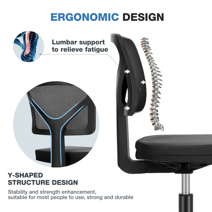 Home Adjustable Office Chair Ergonomic With Lumbar Support - jiemaisi