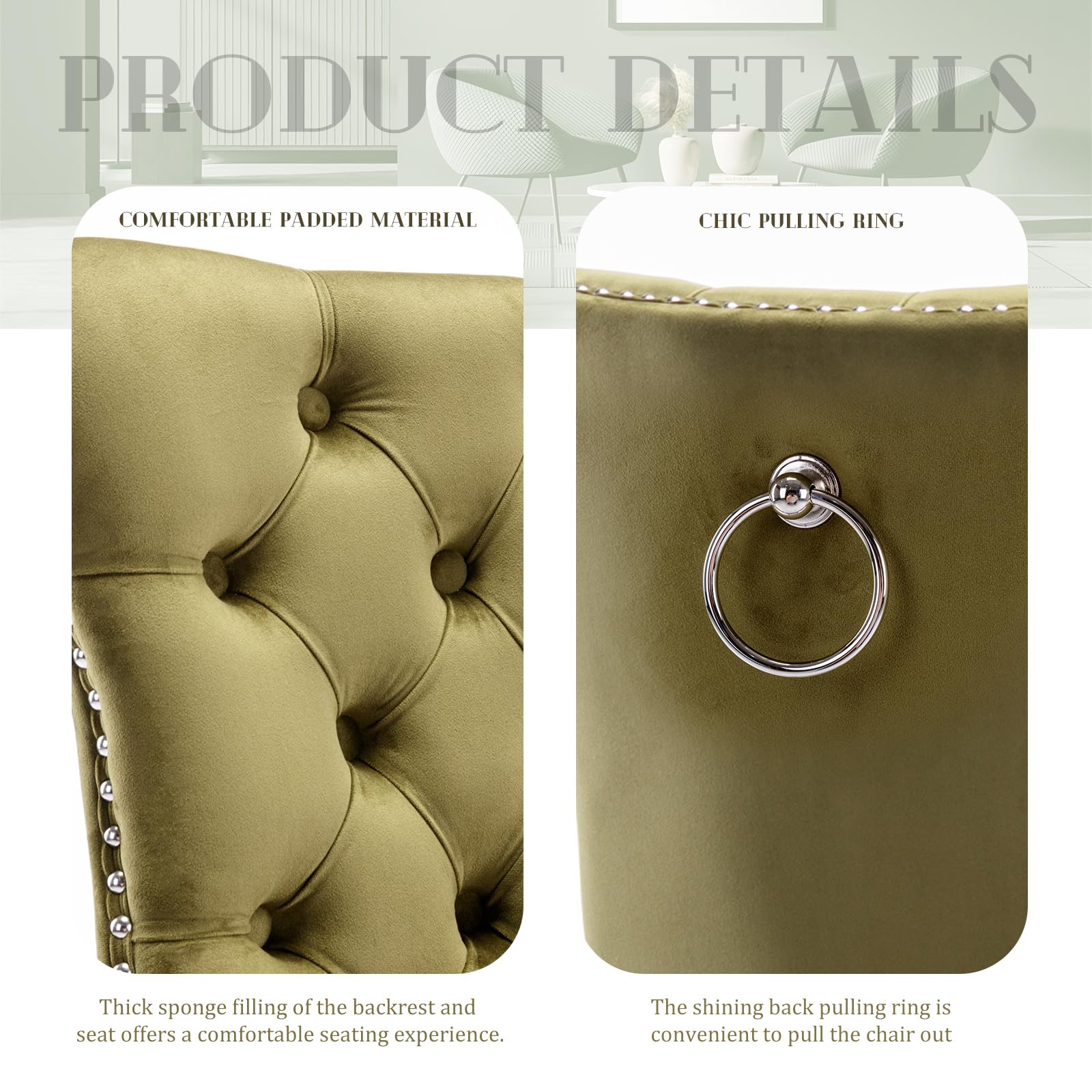 Modern Velvet Upholstered Dining Chairs Set of 2 with Nailhead Trim & Solid Wood Legs