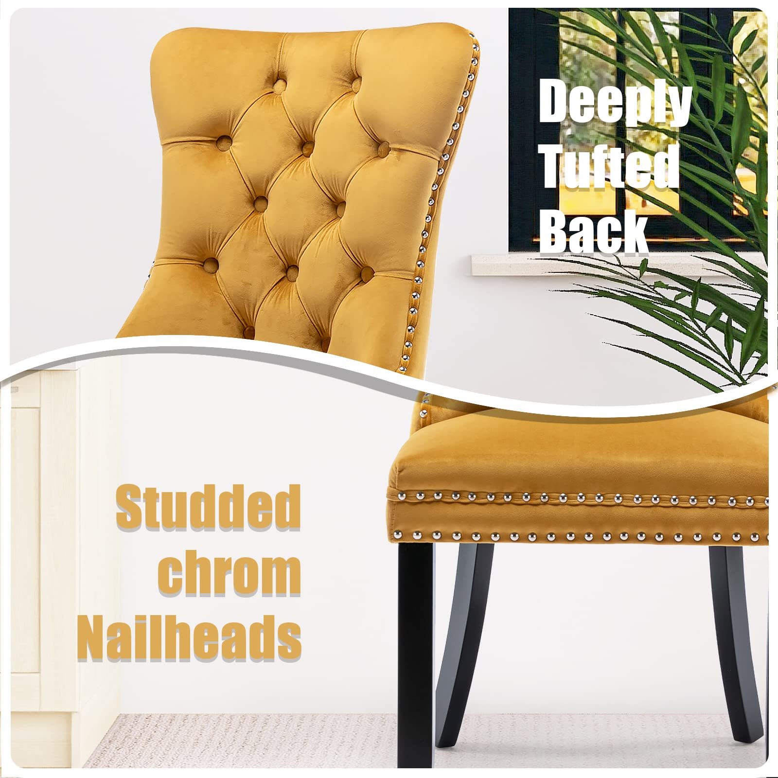 Modern Velvet Upholstered Dining Chairs Set of 2 with Nailhead Trim & Solid Wood Legs