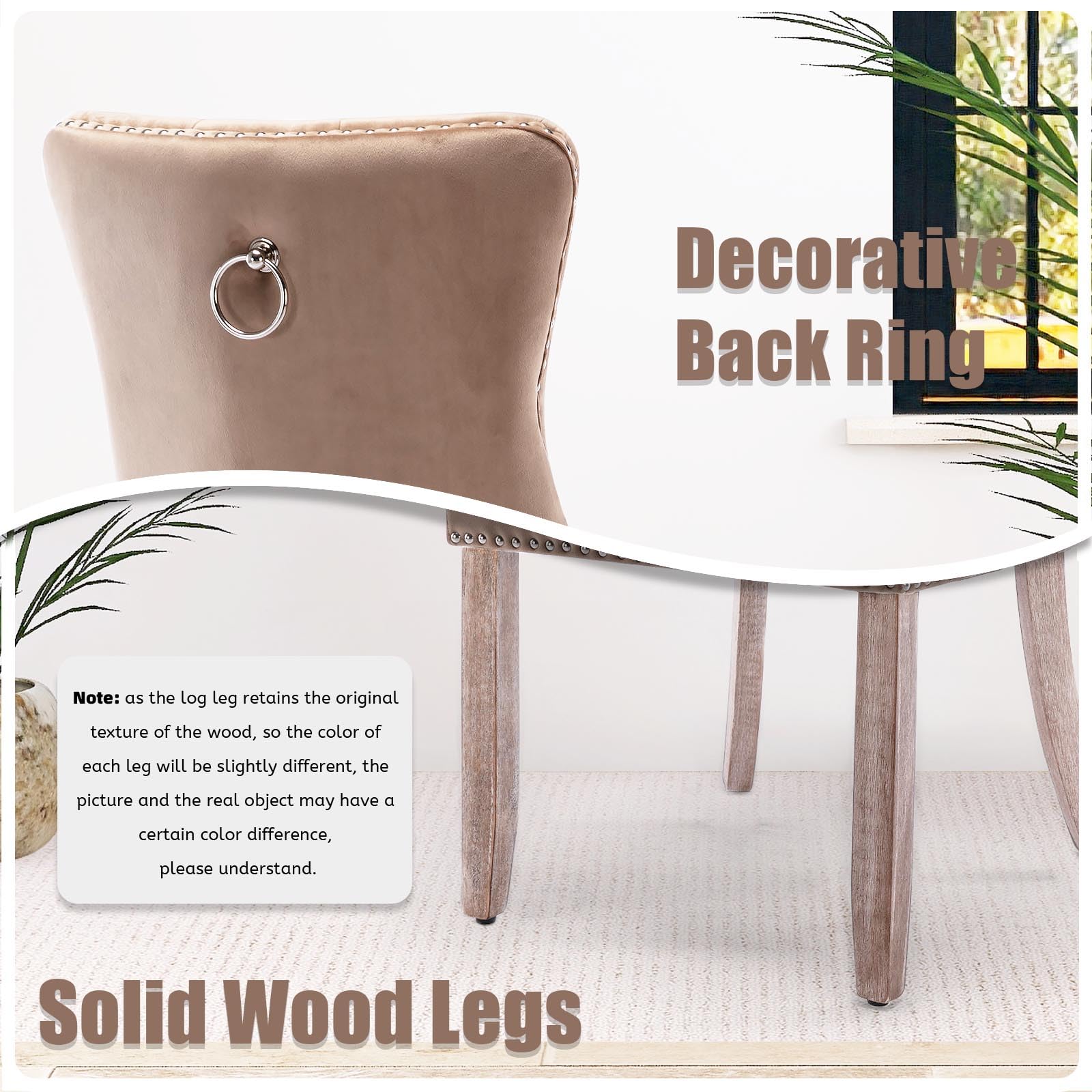 Modern Velvet Upholstered Dining Chairs Set of 2 with Nailhead Trim & Solid Wood Legs