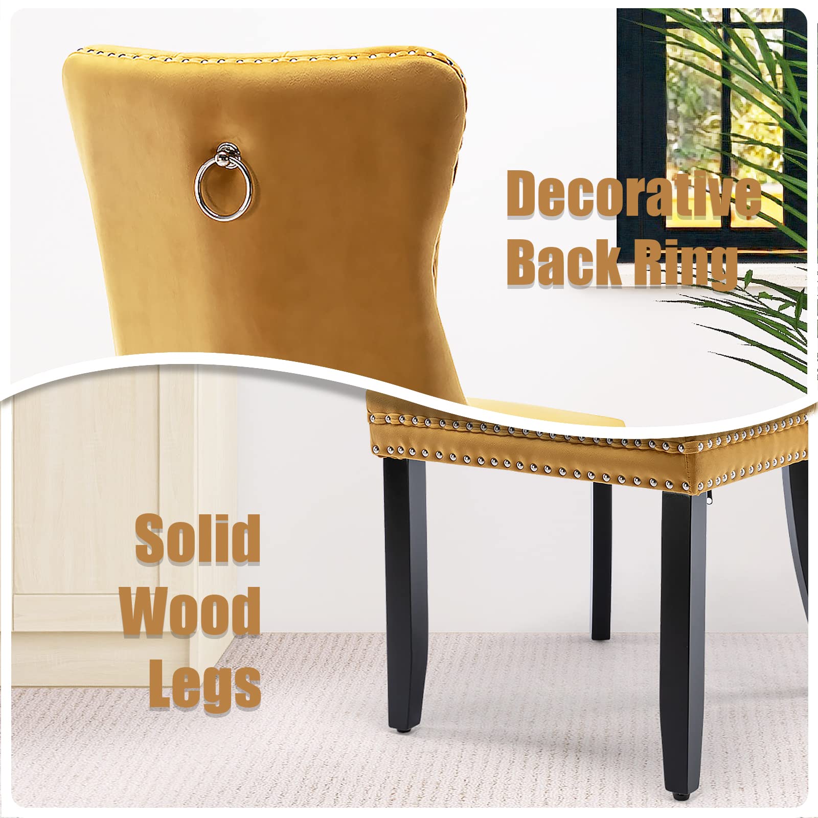 Modern Velvet Upholstered Dining Chairs Set of 2 with Nailhead Trim & Solid Wood Legs