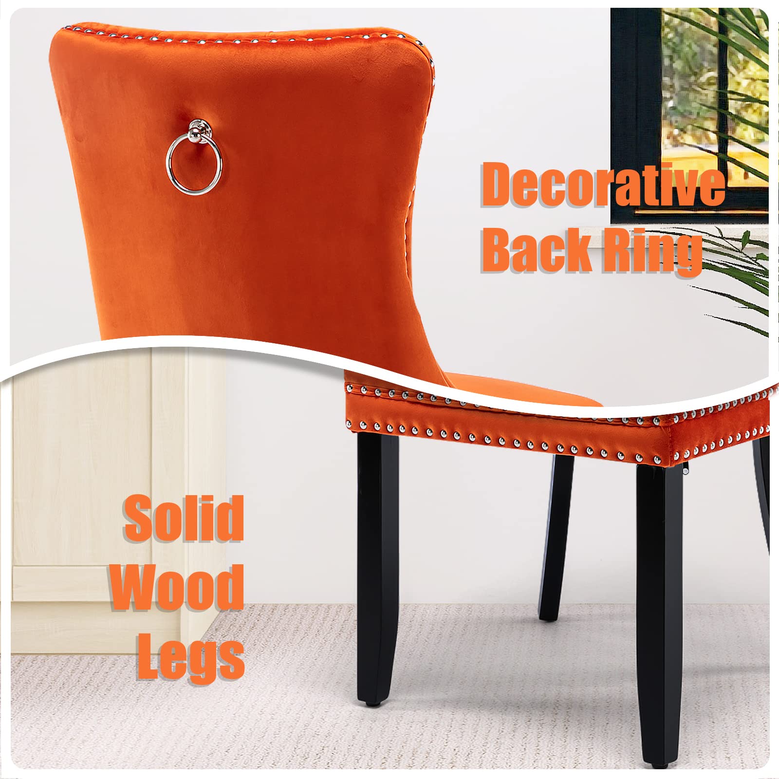 Modern Velvet Upholstered Dining Chairs Set of 2 with Nailhead Trim & Solid Wood Legs