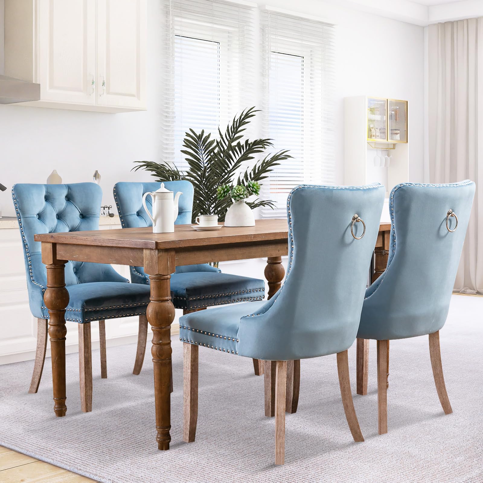 Modern Velvet Upholstered Dining Chairs Set of 2 with Nailhead Trim & Solid Wood Legs