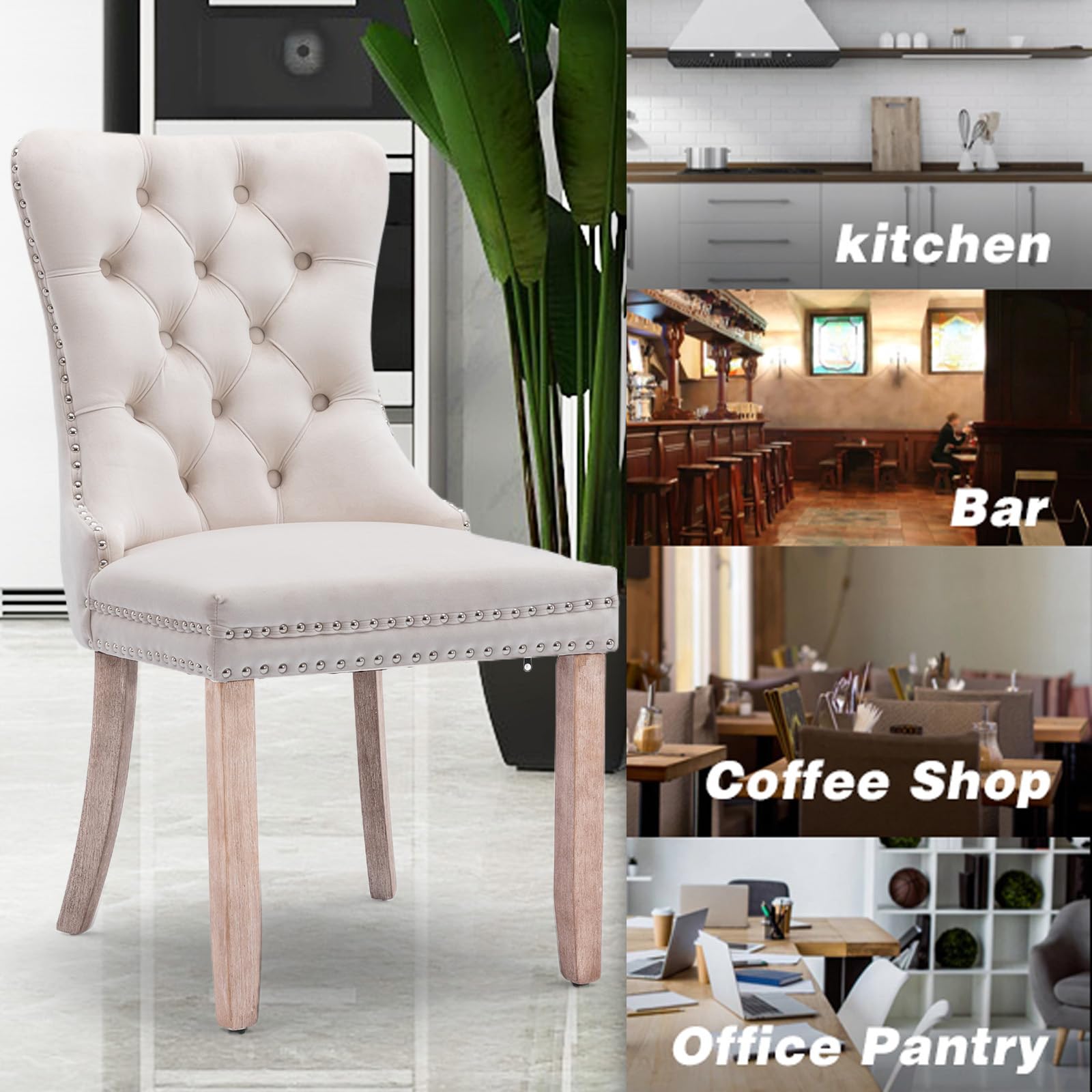 Modern Velvet Upholstered Dining Chairs Set of 2 with Nailhead Trim & Solid Wood Legs
